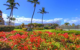 Maui Vista 2220